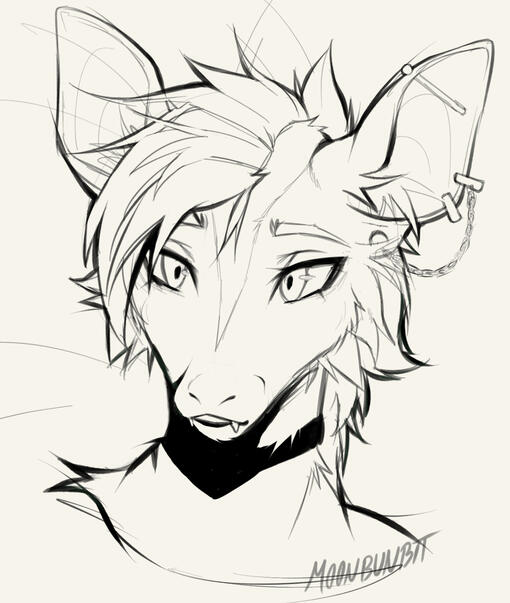 Shaded Headshot for Soulevvv